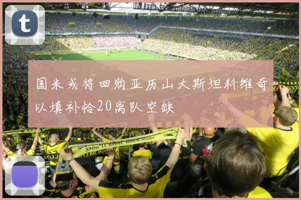 国米或将回购亚历山大斯坦科维奇以填补恰20离队空缺